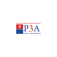 P3A